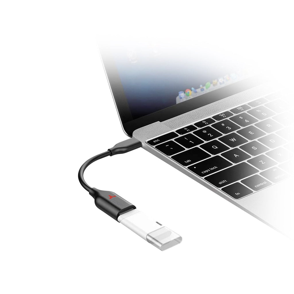 FS-USB Type-C to USB-A Cable (6'')