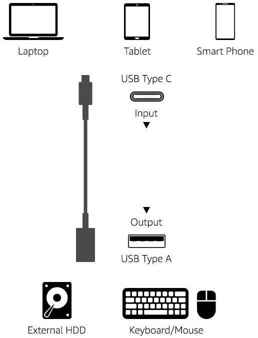 FS-USB Type-C to USB-A Cable (6'')
